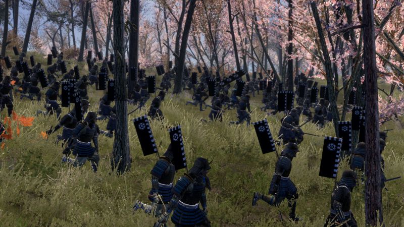 Total War Shogun 2